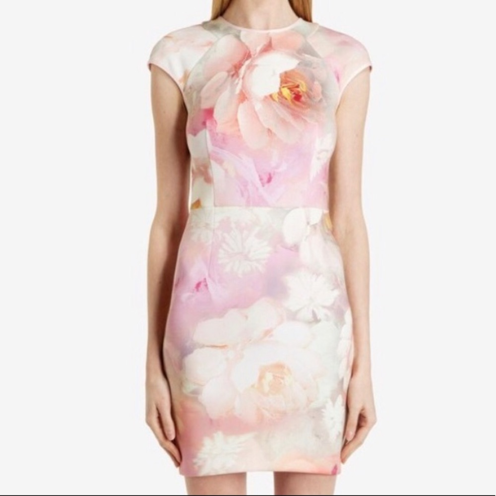 Ted Baker London | Quaro rose on canvas dress. Ted size 0 US Small